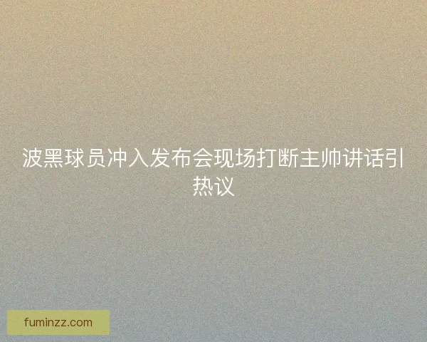 波黑球员冲入发布会现场打断主帅讲话引热议